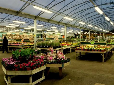 Peppers garden centre. Things To Know About Peppers garden centre. 